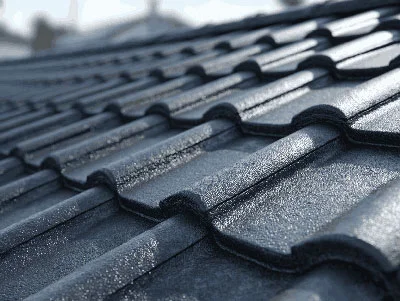mobile-roof-painting.webp