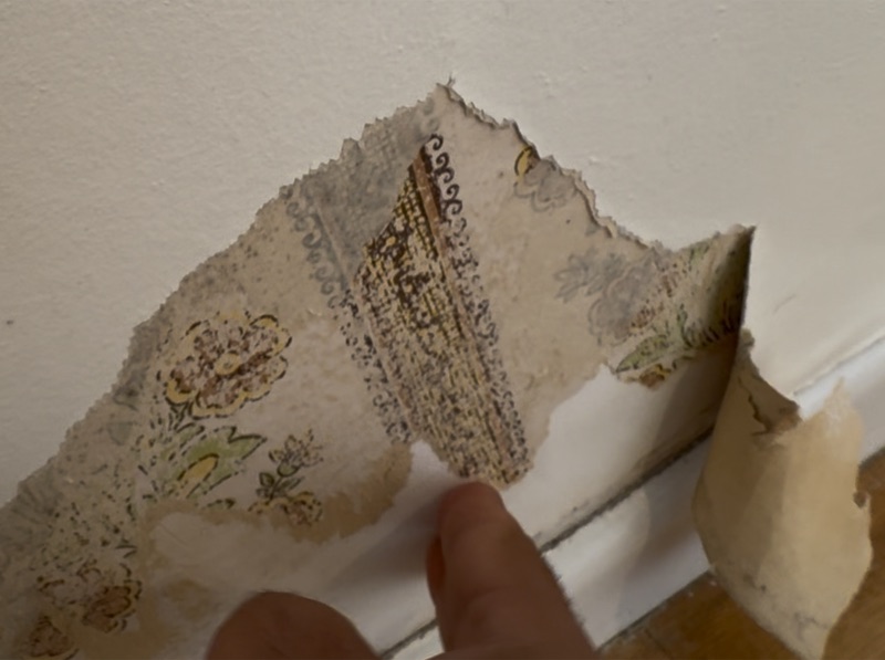 Owhata wallpaper restoration level 5 finish