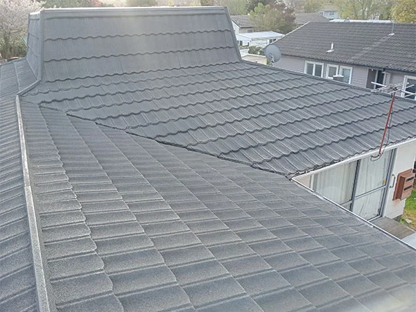 Leak-Free-Roof.webp