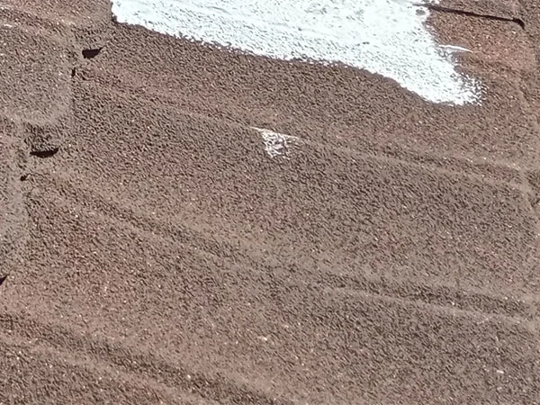 Leaking-Roof-Tough-Location