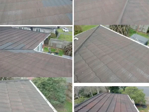 Meticulous-Restoration-Process